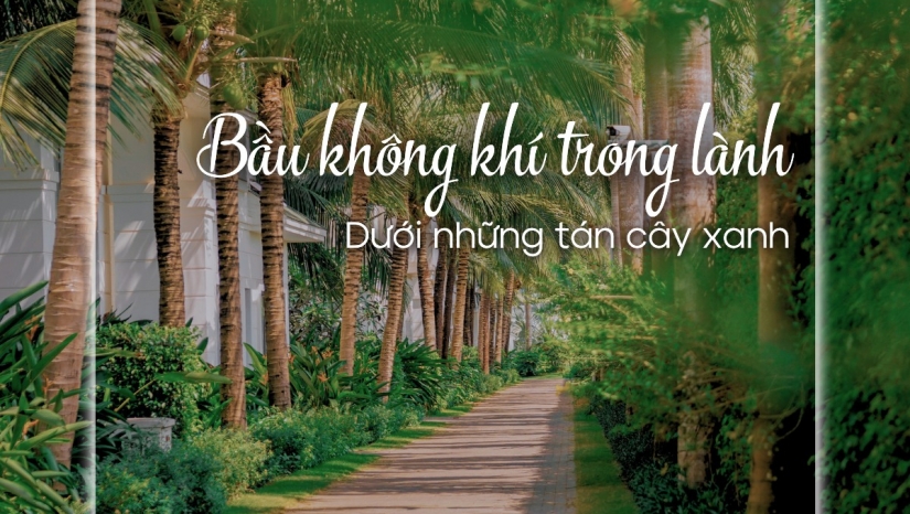 Le Palmier Hồ Tràm